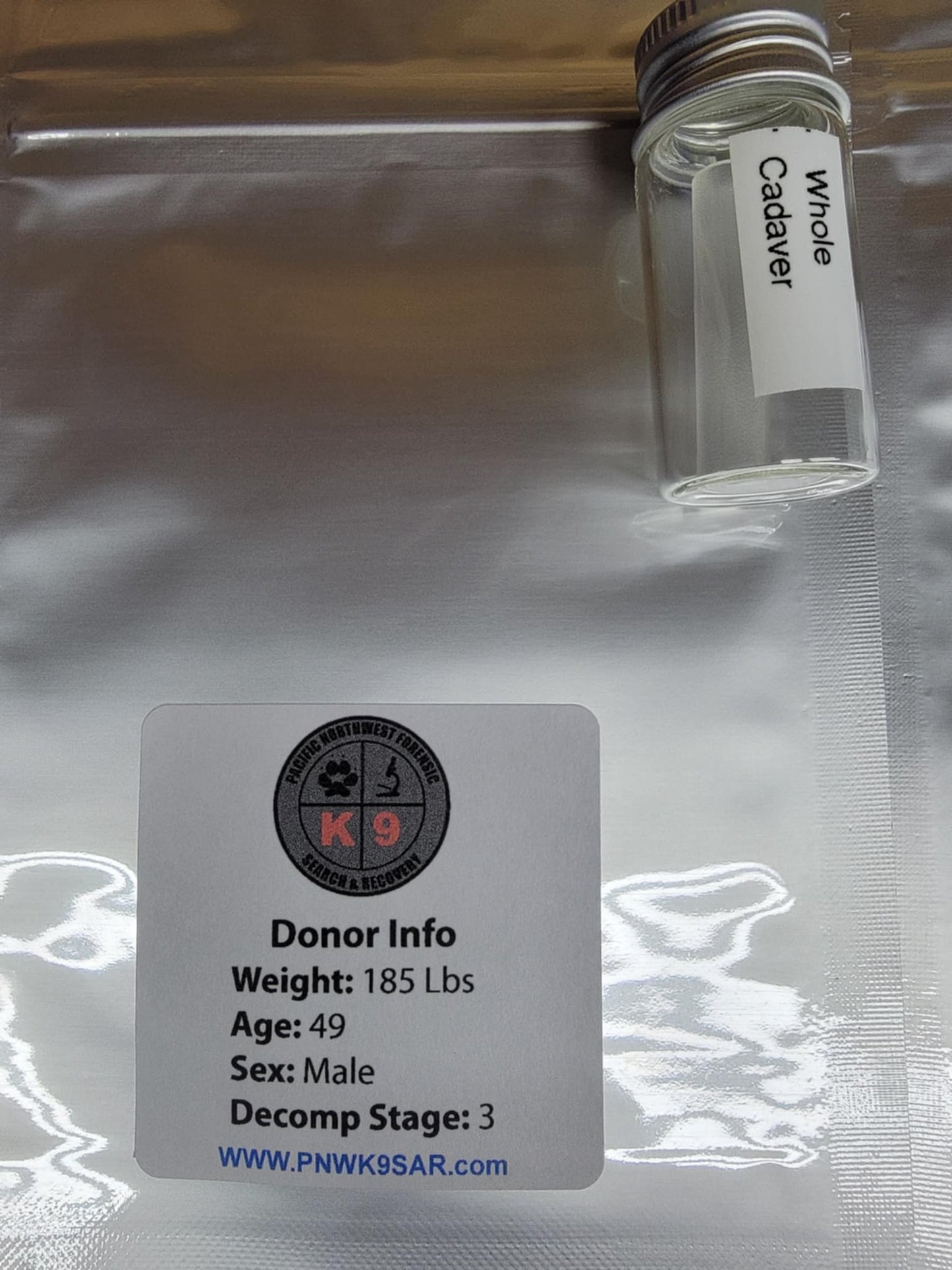 Getxent Tube Kit. Cadaver. Full Body Stage 3 Decomp