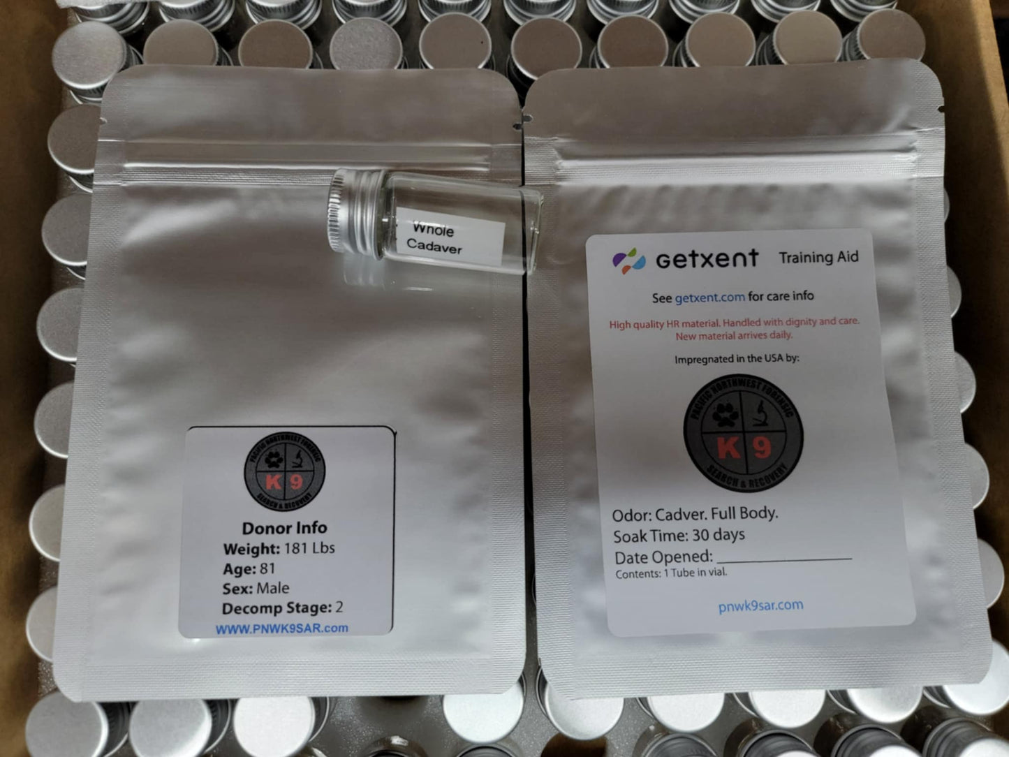 Getxent Tube Kit. Cadaver. Full Body